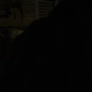 Meet your Posher, Kay